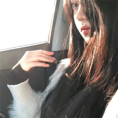 非洲孤狼